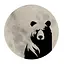 spaceBEAR