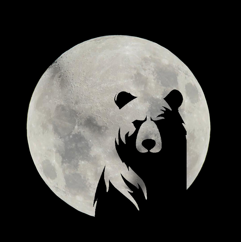 spaceBear